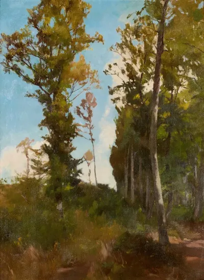 Waldlichtung Bei Purkersdorf