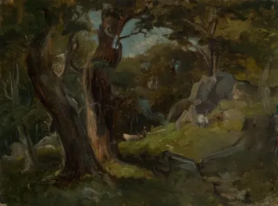 Waldlichtung Mit Pferden