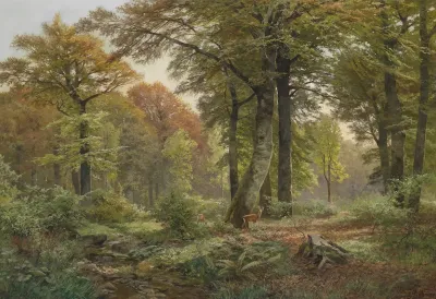 Waldlichtung Mit Rehwild