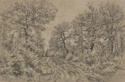 Waldpartie Mit Einem Fahrweg