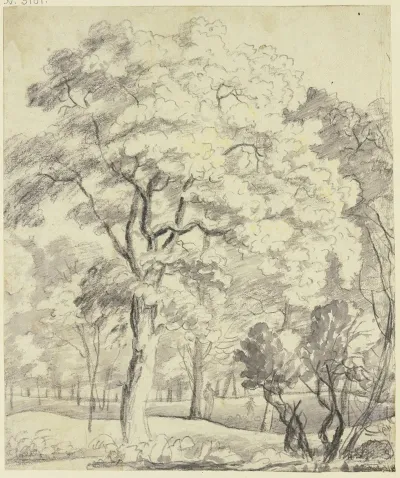Waldpartie Mit Zwei Figuren