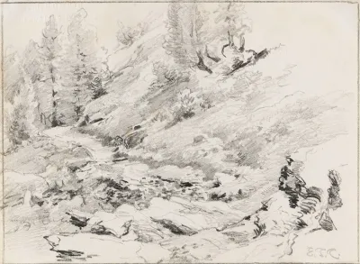 Waldskizze Mit Felsformation