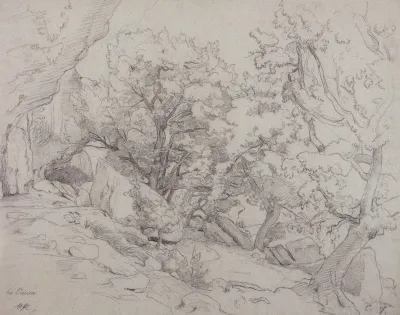 Waldstuck Bei Vaison La Romaine