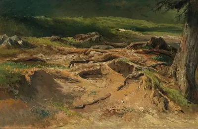 Waldstudie 3