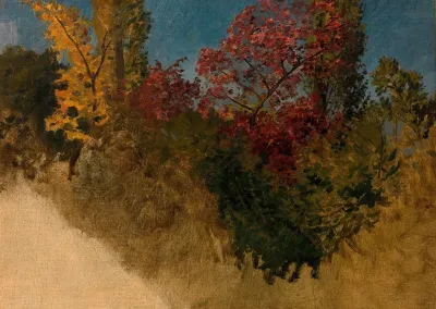 Waldstudie Baume Und Straucher