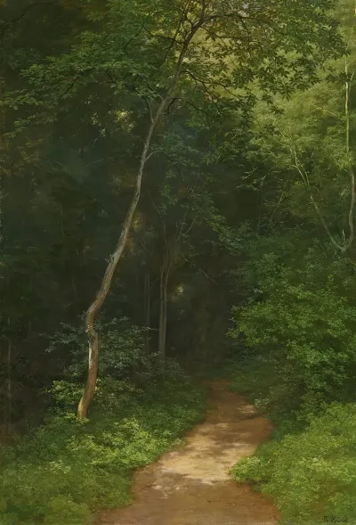 Waldweg Forest Track