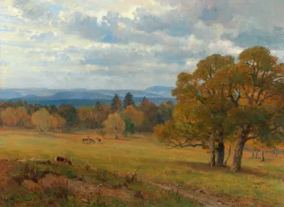 Waldwiese In Merkenstein