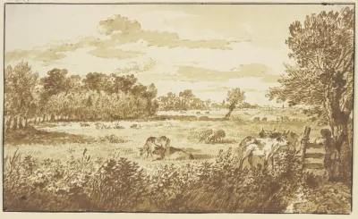 Waldwiese Mit Vieh Rechts Am Zaun Der Hirte