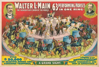 Walter L Main 63 Performing Horses In One Ring