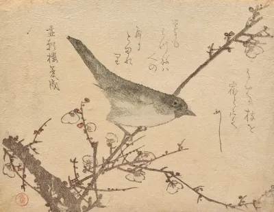 Warbler On Plum Branch