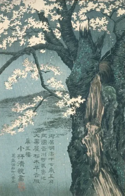 Warrior Taira No Tadanori About To Sleep Under A Cherry Tree