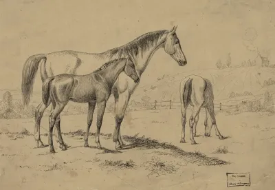 Washington City North Of Capitol In 1839