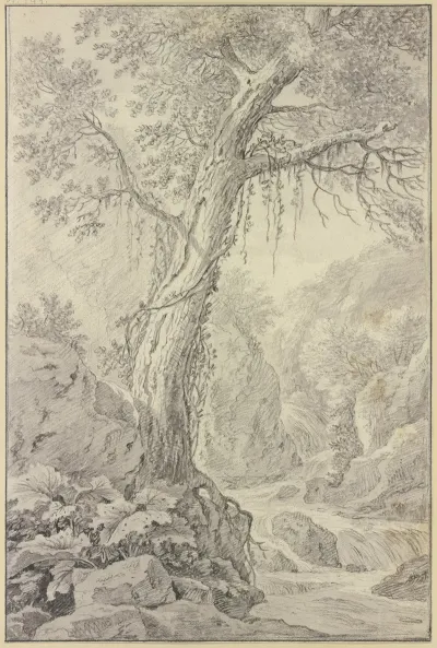 Wasserfall Dabei Ein Groser Baum