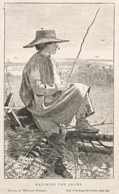 Watching The Crows
