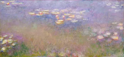 Water Lilies 3