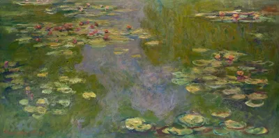 Water Lilies 9