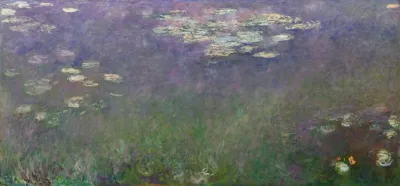 Water Lilies Agapanthus