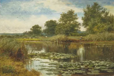 Water Lillies