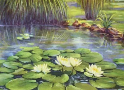 Water Lily