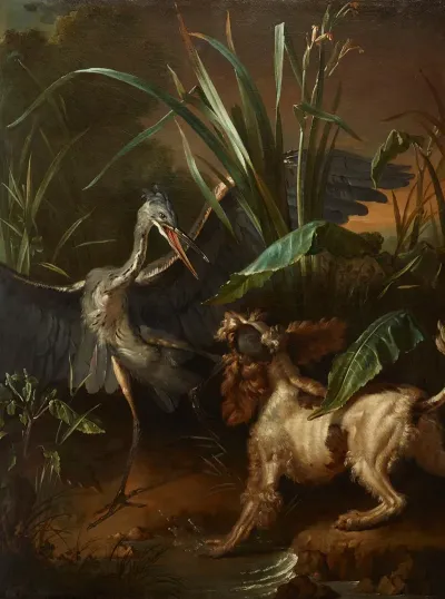 Water Spaniel Confronting A Heron