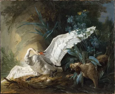 Water Spaniel Surprising A Swan On Its Nest