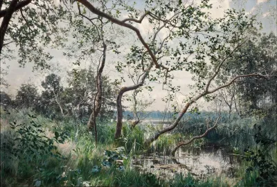 Water Vegetation Motif From Ostergotland