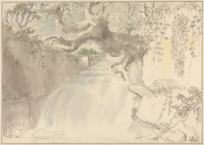 Waterfall And Tree Trunk