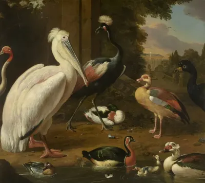 Waterfowl Melchior De Hondecoeter