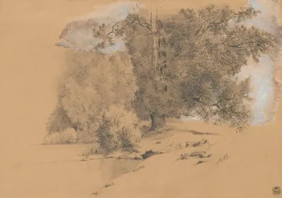 Waterside Trees