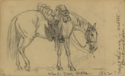 Wauds Grey Mare