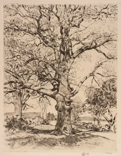 Wayside Inn Oaks In Spring