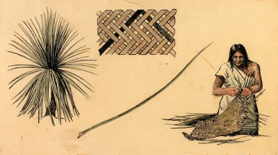 Weaving Yucca