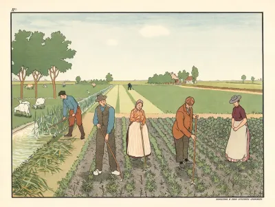 Weeding The Field