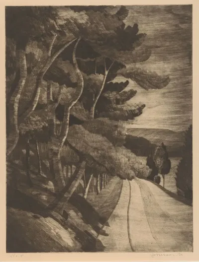 Weg Langs Bosrand