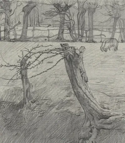 Weidelandschap Met Wilgen