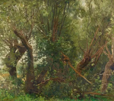 Weidenwaldchen
