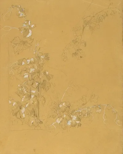 Weinstock Studie Zu Hermann Und Dorothea Im Weinberg 2