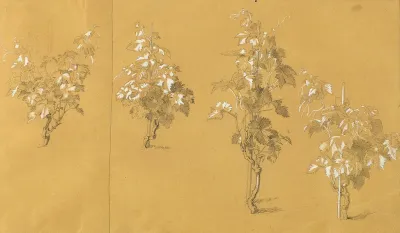 Weinstock Studie Zu Hermann Und Dorothea Im Weinberg
