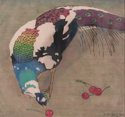 Weisgefleckter Pfau