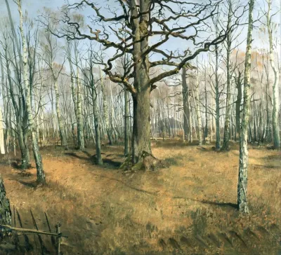 Wermsdorf Forest