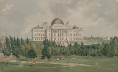 West Front Of The United States Capitol With Cows In The Foreground