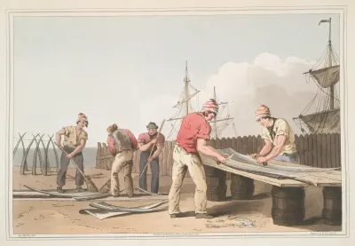 Whalebone Scrapers Plate 18