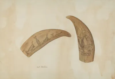 Whales Tooth 2