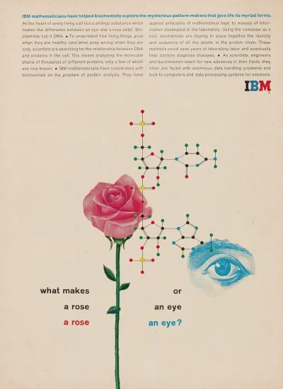 What Makes A Rose A Rose Or An Eye An Eye