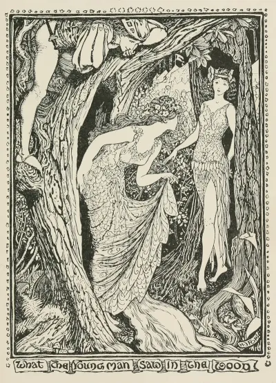 What The Young Man Saw In The Wood