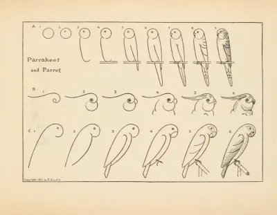 What To Draw And How To Draw It Pl 35