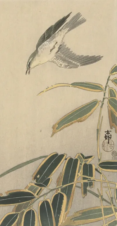 Wheatear With Bamboo