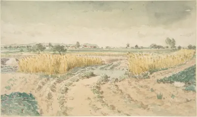Wheatfields