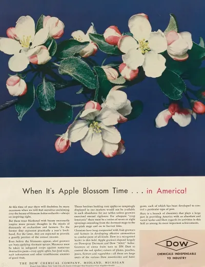 When Its Apple Blossom Time In America