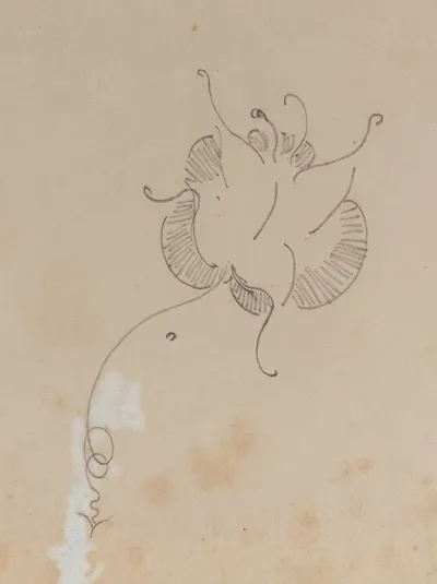 Whistlers Butterfly
